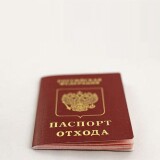 Паспорт опасного отхода – от 4500 рублей