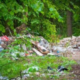ОНФ предлагает возложить ответственность за уборку свалок в лесах на муниципальные власти