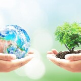 “Зеленая” бумажка: может ли экология быть выгодной